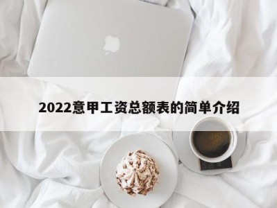 2022意甲工资总额表的简单介绍